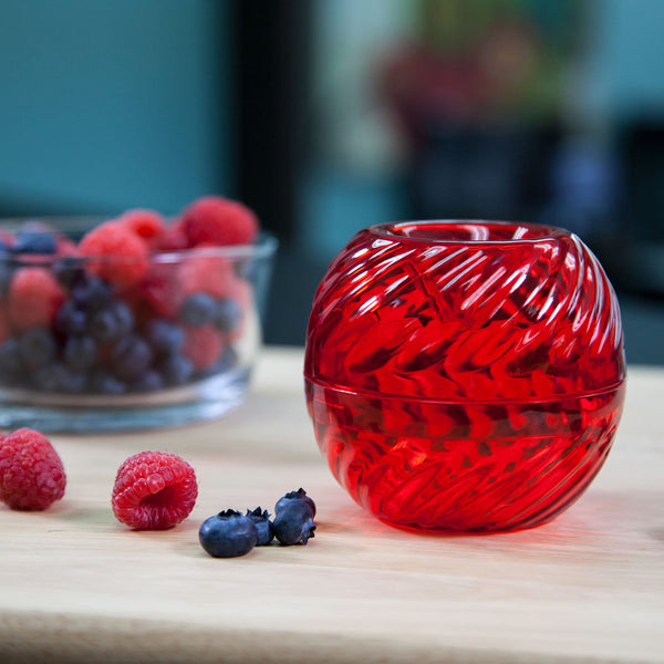 FlyFix Fruit Fly Trap for Indoors - Gnat and Effective Fruit Fly Trap ...