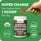 USDA Organic Super Greens Powder & Juice Mix - Mocha Chocolate Flavor - Probiotics & Digestive Enzymes to Support Gut Health & Bloating Relief - Superfoods to Boost Wellness & Immunity.