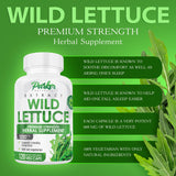 Parker Naturals Wild Lettuce Capsules, 1200mg Herbal Sleep Supplement with 4:1 Wild Lettuce Extract, Lactuca Virosa Natural Sleep Support Supplement, 120 Capsules