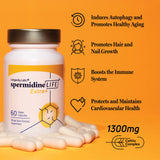 spermidineLIFE Extra+ Strength 1300mg, Natural Supplement, Plant-Based, Wheat Germ Extract with High Spermidine Content and Zinc for Cell Renewal, Vegan-Friendly, 60 Vegetarian Capsules (Pack of 1)