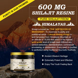 600 Mg Himalayan Shilajit Resin, Shilajit Pure Himalayan Organic, Shilajit Supplement with Purity, High Dosage & Potency for Energy, Strength & Immunity, Men & Women, 60 Grams, 100 Serving