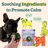 WOOF Calming Wellness Pops - Calming Dog Treats - Long-Lasting Refills for The Pupsicle Toy to Promote Calm - Magnesium for Dogs- XL Pops - 5 Count