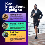 Alpha Tribe Multivitamin for Men with Sea Moss, Black Seed Oil, Ashwagandha, Turmeric Bladderwrack, Burdock,Vitamin C, Elderberry, Manuka, Yellow Dock | Daily Men's Vitamins and Minerals Supplement