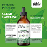 Wild & Organic Olive Leaf Liquid Extract - Olive Leaf Supplement for Immune Support - Vegan, Alcohol Free Tincture - 4 fl oz