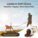 International Veterinary Sciences New IVS Lipiderm Skin and Coat Fish Oil Omega 3 and 6 Dietary Supplement Dogs, Made in The USA (Soft Chews, 90 Count)