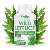 Parker Naturals Wild Lettuce Capsules, 1200mg Herbal Sleep Supplement with 4:1 Wild Lettuce Extract, Lactuca Virosa Natural Sleep Support Supplement, 120 Capsules