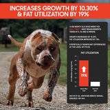 Bully Max 3-in-1 Liquid Muscle Building Supplement for Dogs. for All Breeds & Ages. Clinically Tested. #1-Rated Brand Since 2008