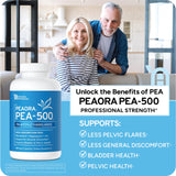 PEAORA PEA-500 - Support for Bladder, & Pelvic Discomfort | For Women & Men | Made in the USA | High-Absorption Palmitoylethanolamide & Resveratrol