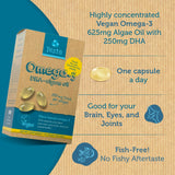 Testa Omega 3 Supplement - 250mg DHA from Algae Oil - Vegan Omega 3 - Supports Brain, Eye & Joint Health - Not from Fish, Pure Algae Capsules - Two Months Supply