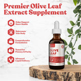 Rejuvica Health Active Olive Leaf - Advanced Olive Leaf Extract - Naturally Occurring Oleuropein - Liquid Delivery for Better Absorption - Immune & Heart Support