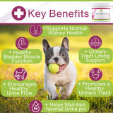 EcoBark Natural Urinary Tract Cranberry Supplements for Dogs - Bladder Health & Kidney Support for Dogs - UTI Relief - Dog Bladder Control Chews - Dog Cranberry Soft Chews for Dog Incontinence Support