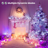 Brizled RGB Christmas Lights, 66ft 200 LED Color Changing Christmas Light with Remote, Dimmable Christmas Lights Outdoor Indoor Waterproof Halloween String Light, Xmas Tree Lights for Christmas Party