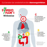 Symbioflor 1: Probiotische Bakterienkulturen gegen wiederkehrende Atemwegsinfektionen, Immunsystem stärken, 50 ml