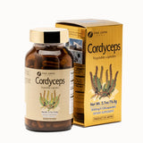 FINE JAPAN Cordyceps Mushroom Capsules - 120 Capsules