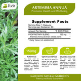 Jiva Botanicals Artemisia Annua Capsules - Sweet Wormwood Supplement - Wormwood Herb Extract from Sweet Wormwood Root - Leverage The Benefits of Wormwood Plant - 90 Capsules