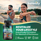 Botanify Sea Moss 7000mg, Black Seed Oil 4000mg, Ashwagandha 2000mg, Turmeric 2000mg, Bladderwrack 2000mg, Burdock 2000mg, Ginger, Vitamin C, Vitamin D3, Elderberry, Manuka, Dandelion, Yellow Dock