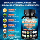 BWWQBB 16-in-1 Sea Moss Capsules 38445mg with Sea Moss 14000mg Black Seed Oil 8000mg Ashwagandha 4000mg Turmeric 4000mg Bladderwrack 4000mg Burdock 4000mg for Immunity & Energy-120 Irish Seamoss Pills