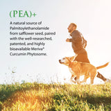 Enzyme Science (Pea+, 60 Capsules All-Natural Meriva Curcumin Supplement for Physiological Support Helps Support Nervous, Immune, & Muscular Systems