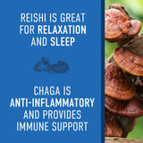 Steep Into It Organic Reishi and Chaga Mushroom Powder Supplement - Reishi Mushroom Extract for Stress Relief, Sleep and Immune Support (45g, 30 Servings) - Rest & Recharge
