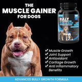 Kilab Dog Weight Gainer – 60-Count Muscle Builder Dog Supplement – Muscle Growth Supplement for Dogs, Puppies and Adults – Bully Growth Formula with Turmeric, Glucosamine, Green Lipped Mussels