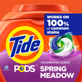 Tide Pods Liquid Laundry Detergent Pacs, Spring Meadow, 42 Count (Pack of 4)