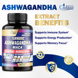 Ashwagandha Supplements 14700mg - Memory, Immune System & Strength Support - 7in1 Concentrated with Turmeric, Maca Root, Berberine & More - 90 Vegan Capsules for 3-Month Supply