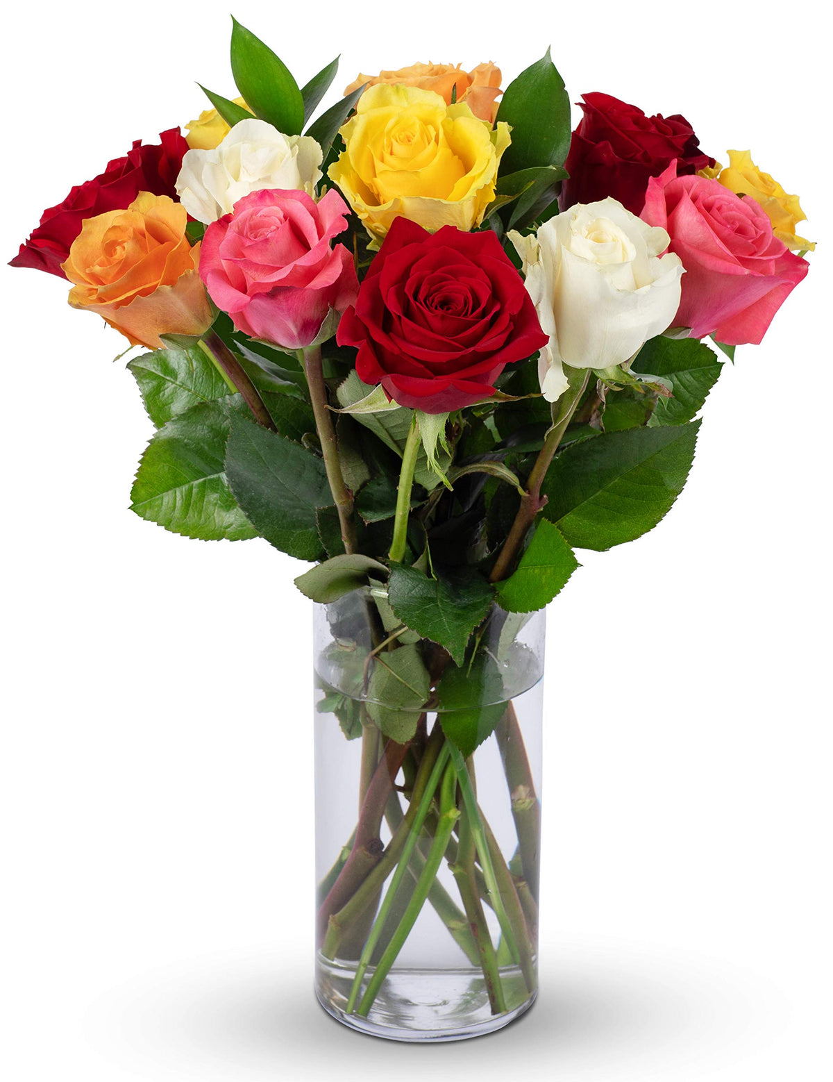 12 Rainbow Roses BENCHMARK BOUQUETS - 12 Stem Rainbow Roses (Glass Vase Included), Next