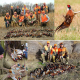 Professional Bird Trap for Chicken, Pheasant，Wild Duck, Partridge Mallard and Other Medium-Sized Birds Tying Birds' feet Won't Hurt Them