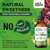 Sea Moss - Organic Sea Moss Liquid Drops - Irish Sea Moss Supplement - Seamoss Bladderwrack Tincture - Vegan, Alcohol Free Liquid Extract for Men & Women - Natural, Non-GMO Superfood - 4 fl. oz.