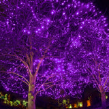 Twinkle Star 300 LED Halloween Fairy String Lights, 99 FT Outdoor Light Plug in with 8 Lighting Mode, Waterproof Black Wire Mini Lights Christmas Holiday Wedding Party Patio Tree Decorations (Purple)