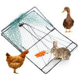 Bird Trap Outdoor Hunting Trap Bird nets Camping Hunting Cage Tools Cage Trap,Sturdy Upgraded Version of The breeding Hunting Animal Traps for Birds Pigeons Chinken Pheasant Duck (24x20 inches)