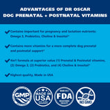 Dog Prenatal Vitamins. The Only Prenatal Vitamins for Dogs with Omega 3, Probiotics, Choline & Inositol, Key for Mother & Puppies. 2in1 Postnatal & Prenatal Dog Vitamins + Folic Acid 90 Tablets