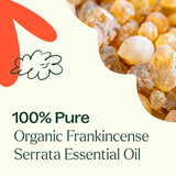 Plant Therapy Organic Frankincense Serrata Essential Oil 100% Pure, USDA Certified Organic, Undiluted, Natural Aromatherapy, Therapeutic Grade 100 mL (3.3 oz)