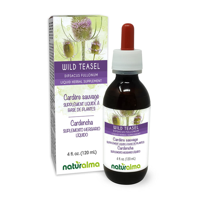 Naturalma Wild Teasel or Fuller's Teasel (Dipsacus fullonum or D. sylvestris) Root Alcohol-Free Tincture 4 fl oz Liquid Extract in Drops | Herbal Supplement | Vegan | Product of Italy