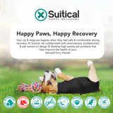 Suitical Recovery Suit for Dogs - Dog Surgery Recovery Suit with Clip-Up System - Breathable Fabric for Spay, Neuter, Skin Conditions, Incontinence -XXXS Dog Suit, Black