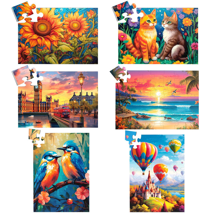 6 Packs Large Piece Jigsaw Puzzles for Elderly Puzzle Dementia Alzheimer's Products Activities, Alzheimer's Puzzles Cognitive Gift for Patients in Nursing Home Seniors Adults, 6 Storage Bags(16&35)