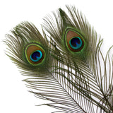 THARAHT 24pcs Peacock Feathers Long Natural in Bulk 25-30 inch 60-70 cm for Craft Vase Wedding Home Party Christmas Day Decoration Peacock Feathers