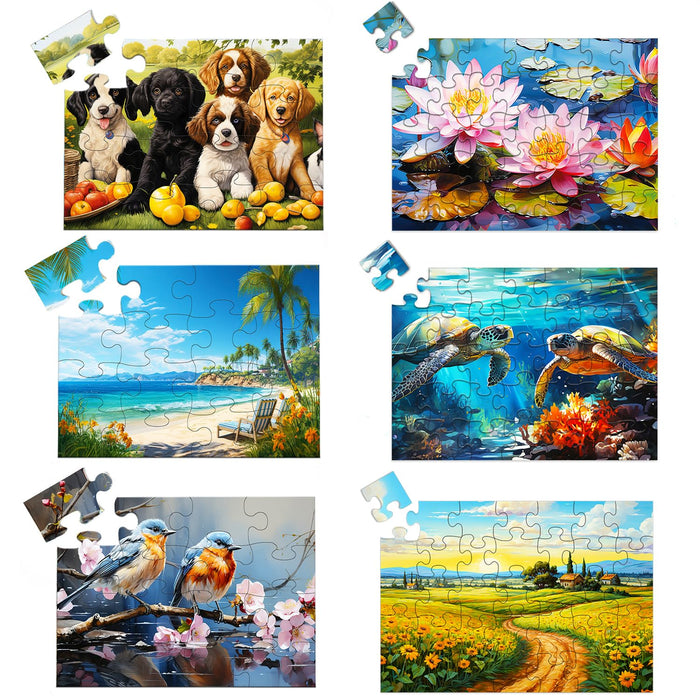 Neoflavie 6 Pack16&35 Dementia Puzzles for Elderly,6 Style Large Piece Puzzles for Seniors-Large Pieces Jigsaw Puzzles Dementia Alzheimer's Products, Gift for Patients in Nursing Home with Storage Box