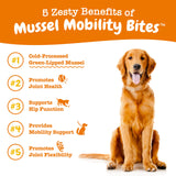 Zesty Paws Mussel Mobility Bites for Dogs - New Zealand Green Lipped Mussel with Natural Glucosamine & Chondroitin + Omega-3 Fatty Acids - Hip & Joint Support Supplement Soft Chews – 90 Count