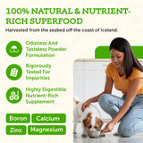 Animal Essentials Seaweed Calcium - Supplement for Dogs and Cats, High Digestibility, Pure Clean Icelandic Seaweed Calcium, Free of Lead and Hormones, Lab Tested, Magnesium - 12 Oz (Pack of 1)