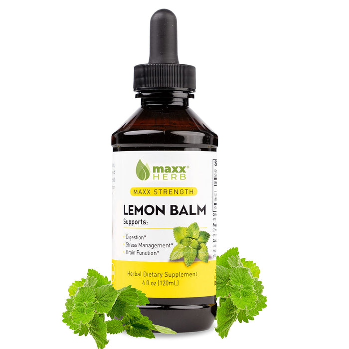 Maxx Herb Lemon Balm Extract - Max Strength Liquid Tincture Absorbs Better Than Capsules or Tea, for Nervous System Support, & Stress Management - Alcohol Free - 4 Oz Bottle (60 Servings)