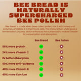 Kiin Bee Bread Capsules - Fermented Bee Pollen Immunity & Metabolism Supplement, 100% Natural Superfood, Vitamin B Group, Antioxidants, Omega 3 6 9