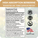 High Absorption Berberine Phytosome - 10X More Bioavailable | Weight Management & Metabolic Support for Women & Men | Ceylon Cinnamon + Green Tea Extract | Berberis Aristata Supplement | 90 Capsules