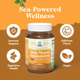 Sea Moss Gummies for Adults and Kids - Vegan Adult and Kids Immune Support Gummies with Burdock Bladderwrack and Sea Moss Gel - Delicious Berry Flavor Sea Moss Supplement Men Women and Children 30ct