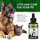 Dog Urinary Tract Infection Treatment • Cat Treatment for UTI • Kidney Support for Dogs • Dog UTI Treatment • Feline UTI Treatment • Dog Kidney Support • Kidney Support for Cats