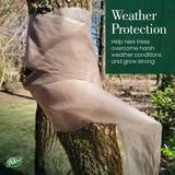 Dalen Protective Tree Wrap and Breathable Material – Non-Toxic and Reusable Protection – Stimulates Faster Growth and Healthier Trees – 3" wide x 50' long