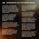 ONNIT Brain