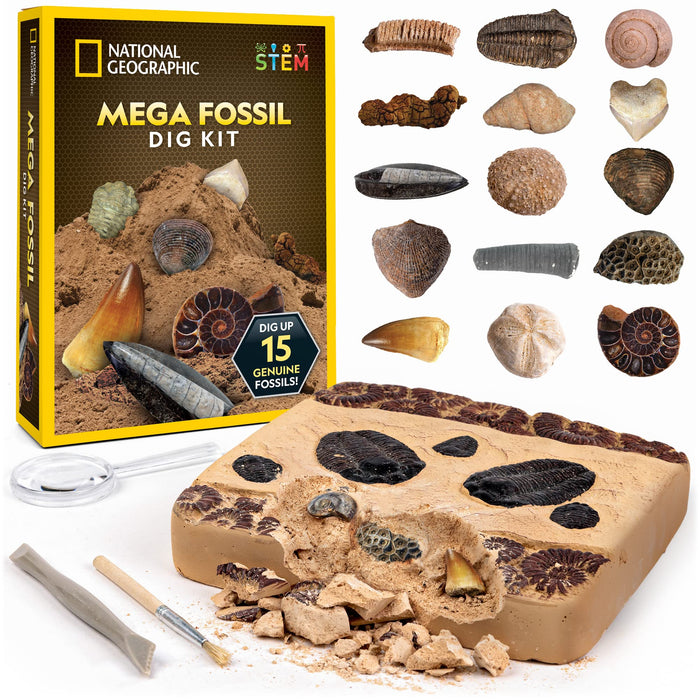 National Geographic Mega Fossil Dig Kit - Excavate 15 Genuine Prehistoric Fossils, Kids Fossil Kit, Educational Toys, Great Science Kit Gift for Girls and Boys (Amazon Exclusive)