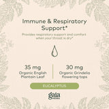 Gaia Herbs Bronchial Wellness Syrup - Immune Support Supplement to Help Maintain Lung Health and Help Provide Comfort for Occasional Sore Throat - 5.4 Fl Oz (Up to 32-Day Supply)