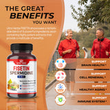 Ultra Fisetin Supplements Complex 7350mg Resveratrol 1000mg Quercetin 200mg - Support Brain Wellness, Immune System with Elderberry, Echinacea, Ashwagandha, Turmeric, Ginger (90 Count (Pack of 1))